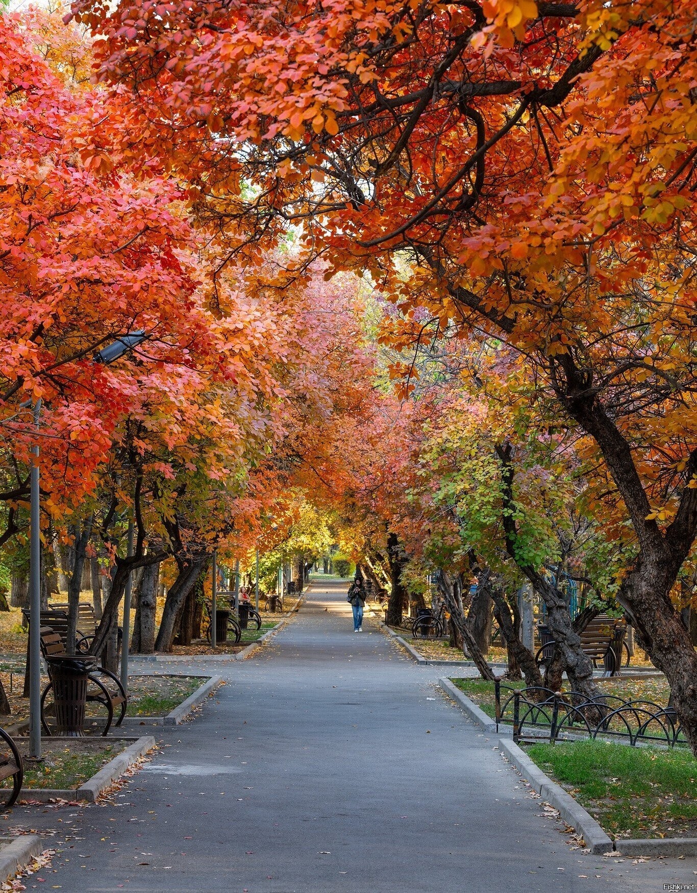 Сейчас в Алма-Ате