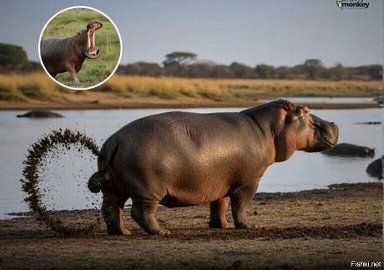 "будь другом - 