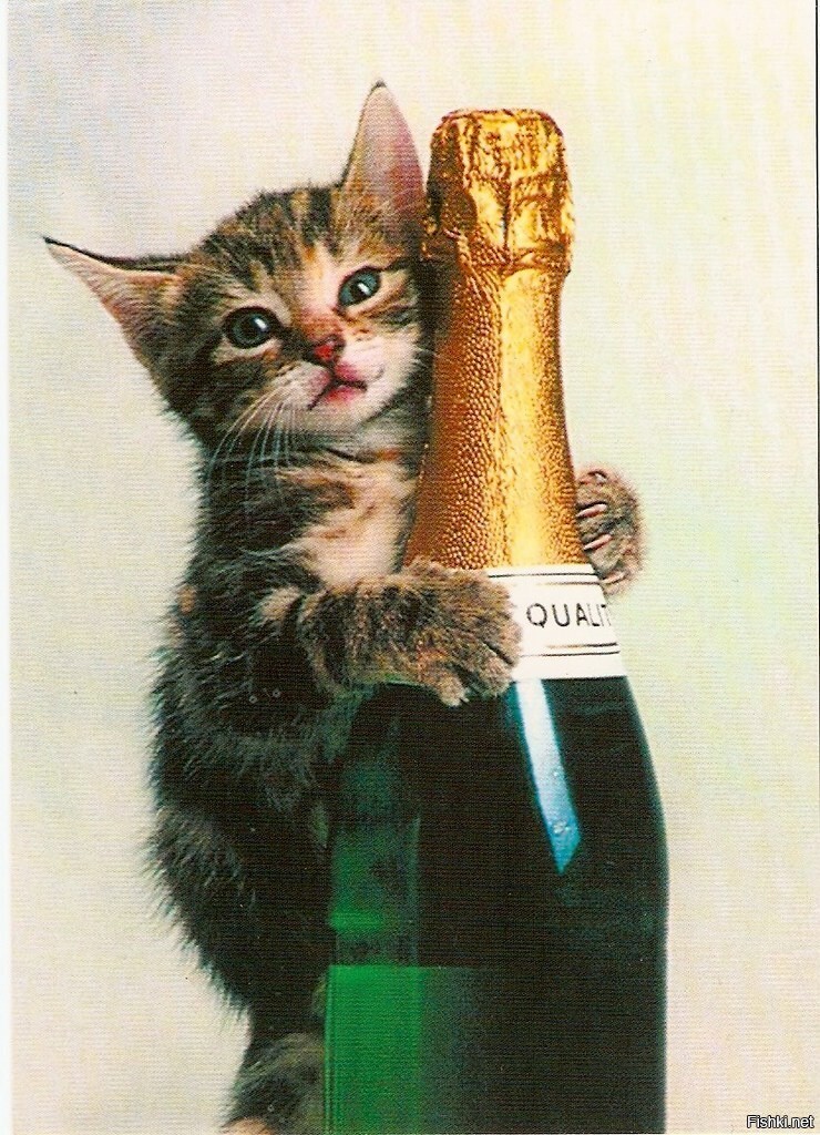 С днём Шампанского