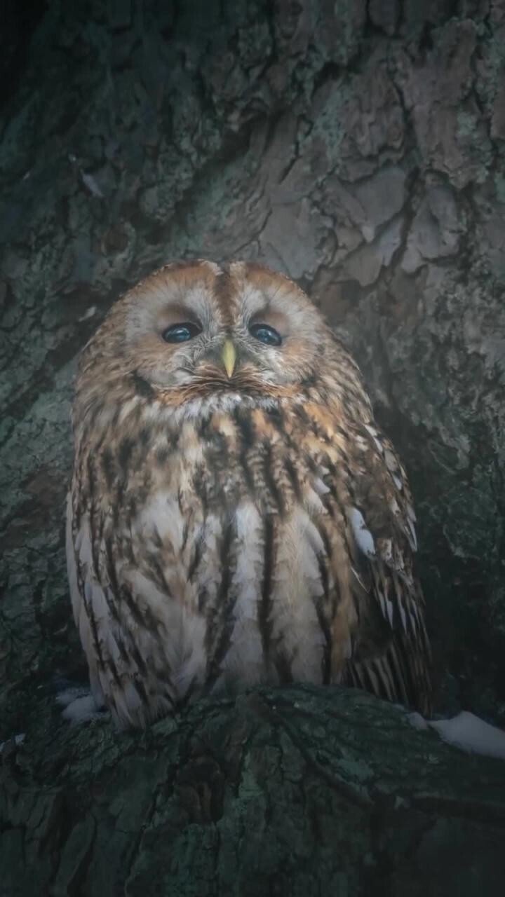 Просыпание)