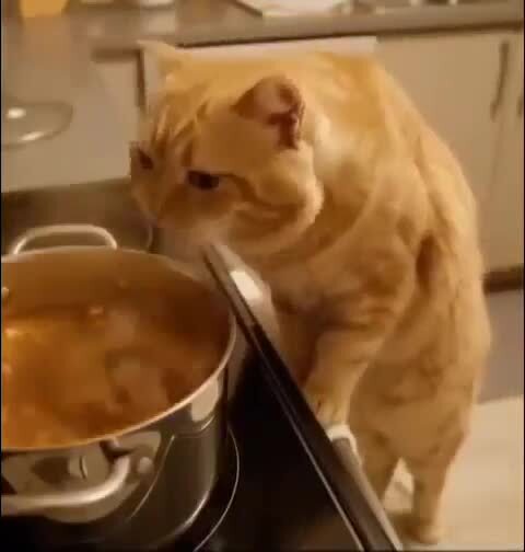 Посильный вклад