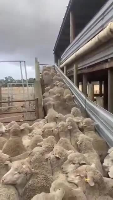 Пробки не помеха