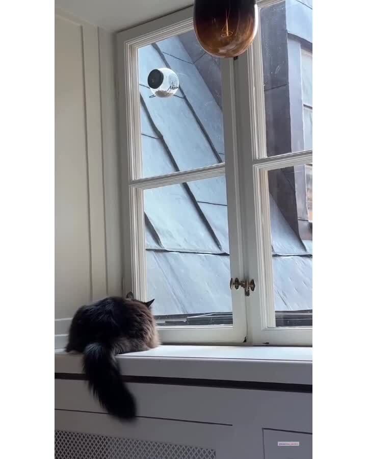 Инстинкт не теряется)