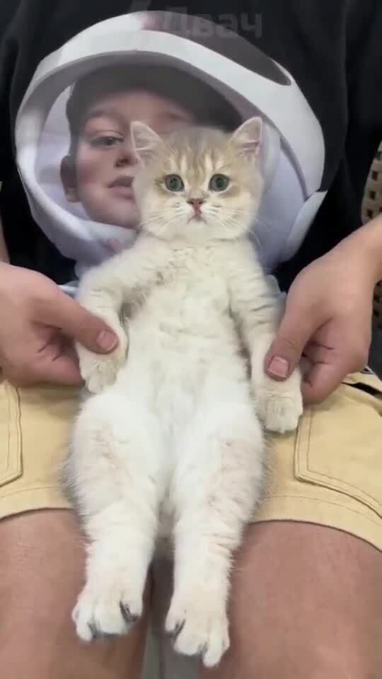 ну вот и пятница