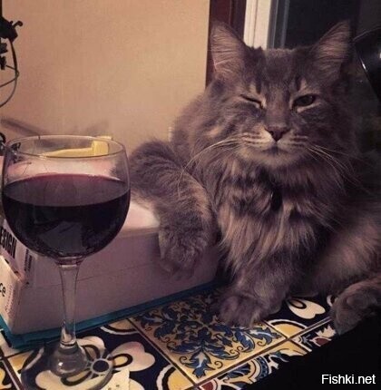 С пятницей =)