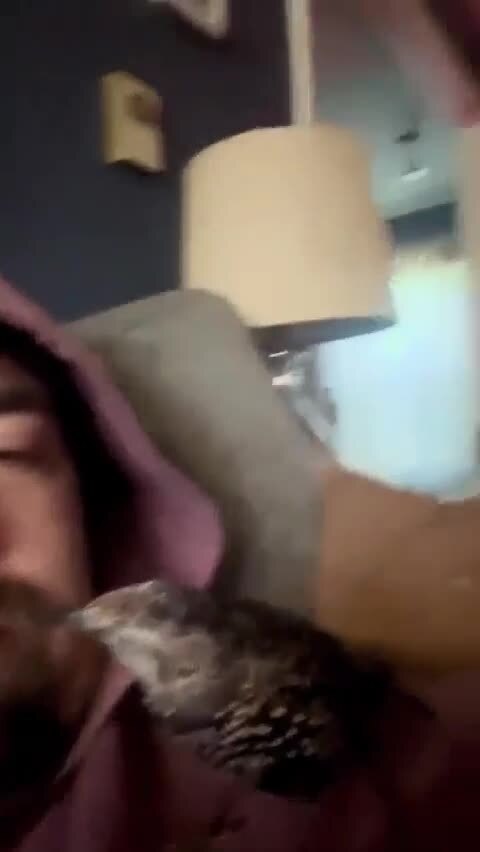 СТОМАТОЛОГ-ОКУЛИСТ