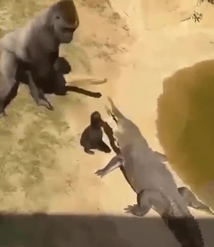 Вот как надо бороться с террористами