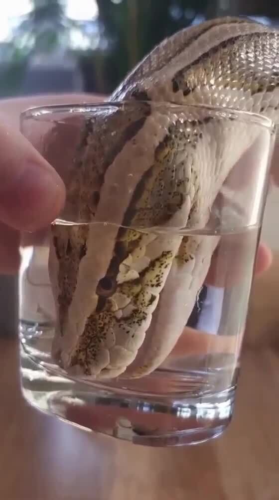 ЗАТО ВЧЕРА БЫЛО ХОРОШО