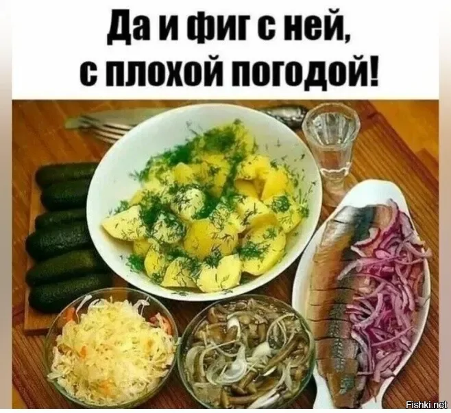 Солянка