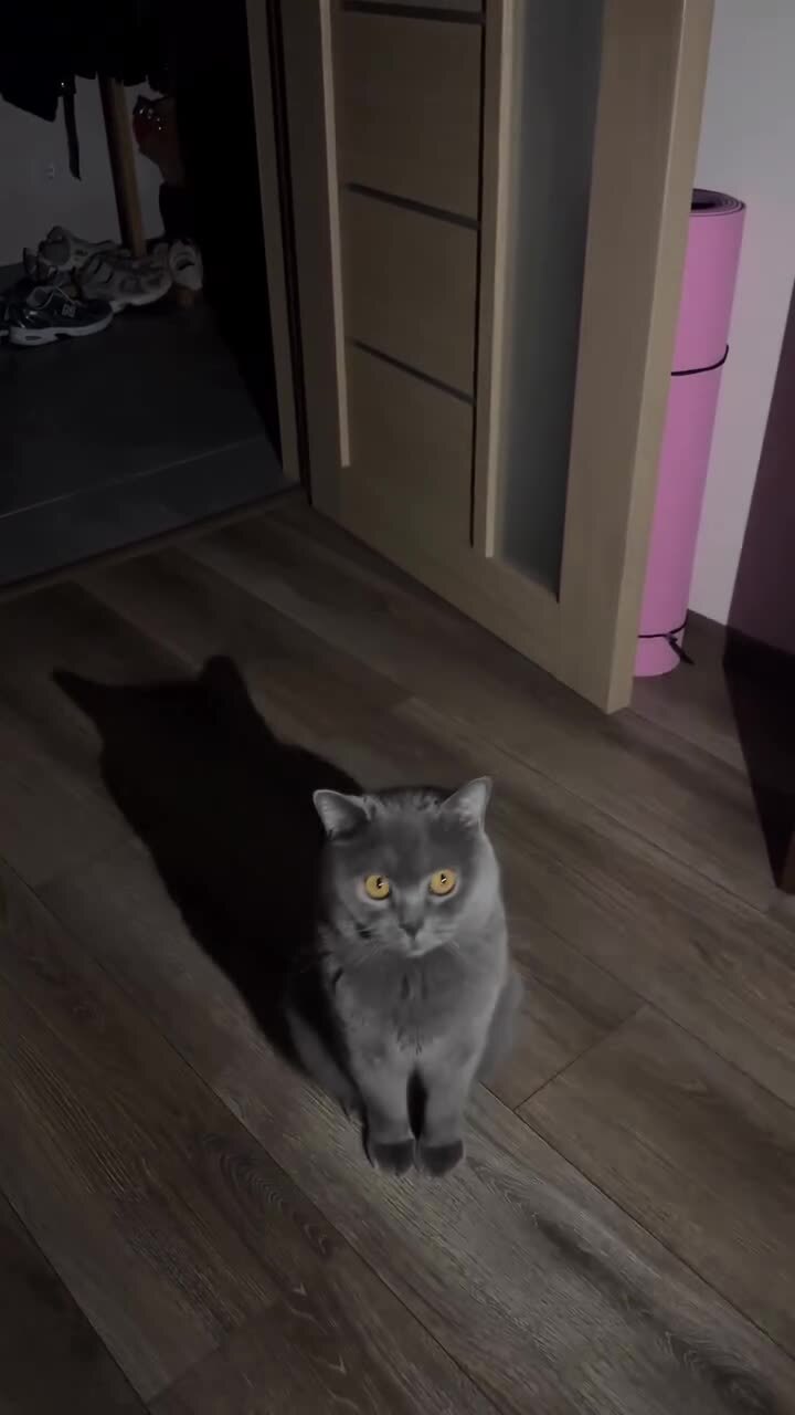 Пятничная тень)