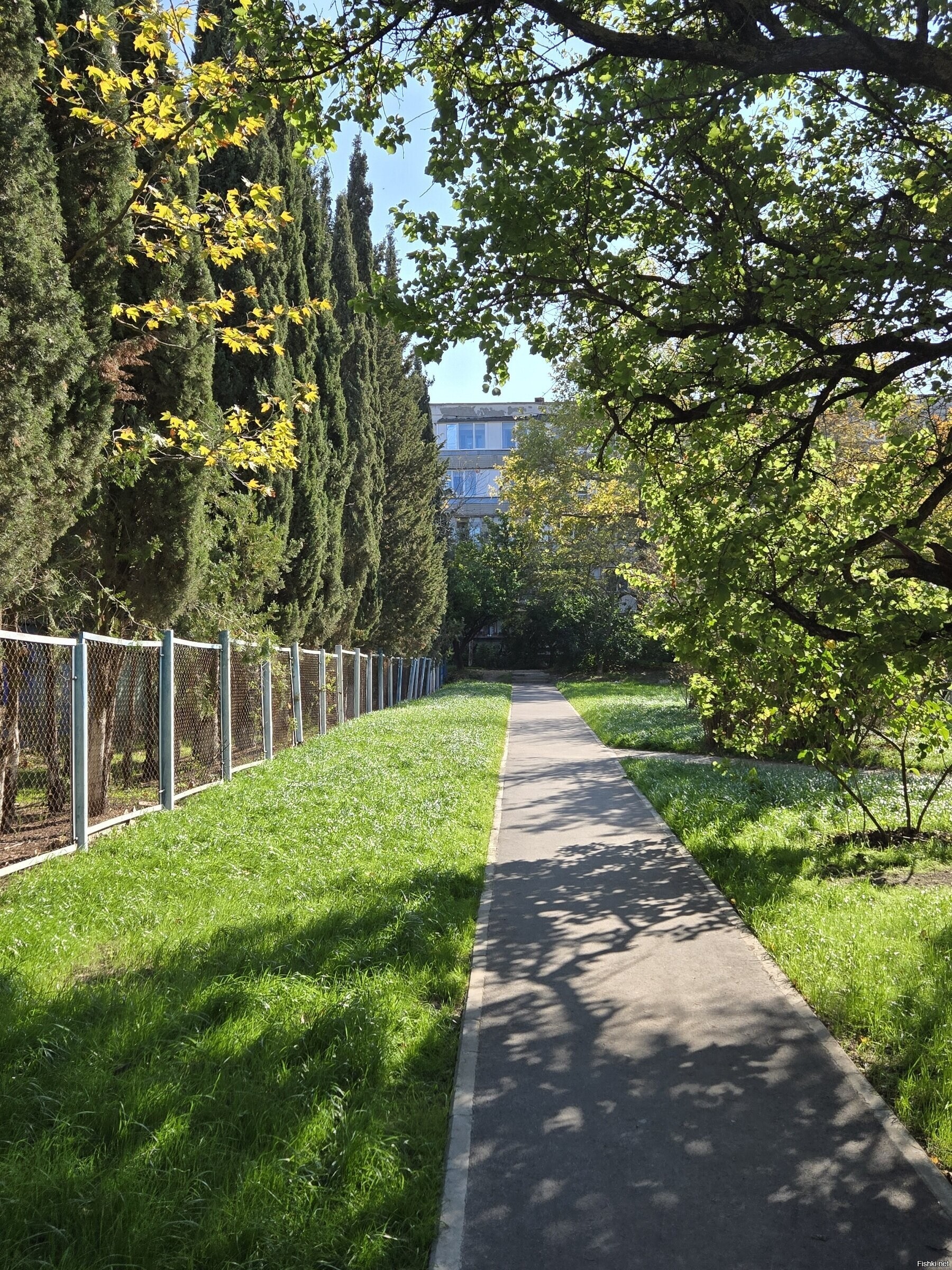 Правильная осень