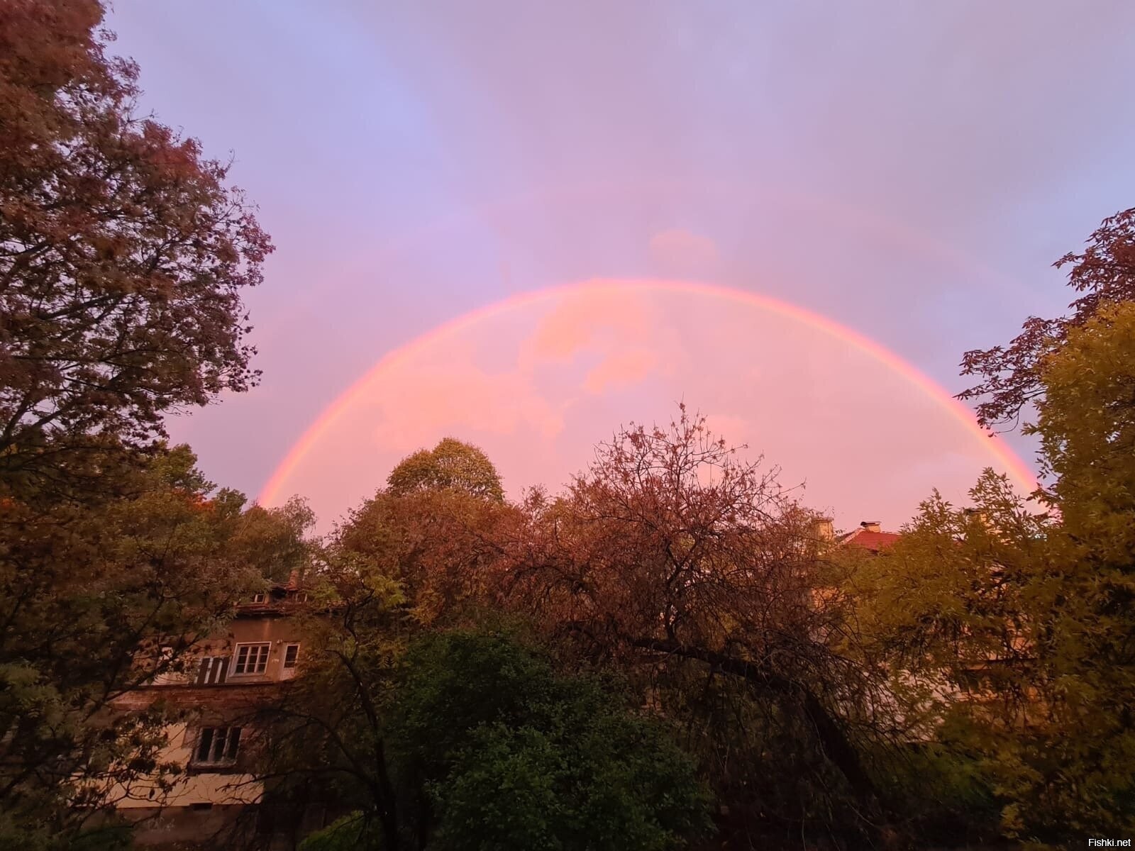 Сегодня утром