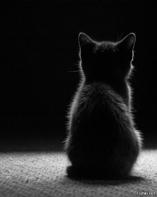 Тьмаленькость