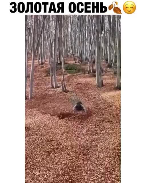 Доброго утра