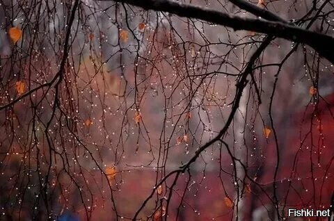 С добрым утром