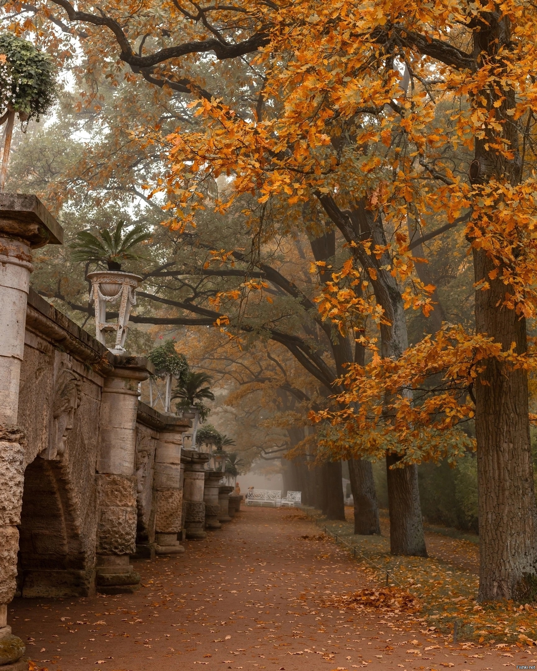 Екатерининский парк 