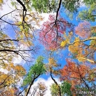 Осень в Алматинском ботаническом саду