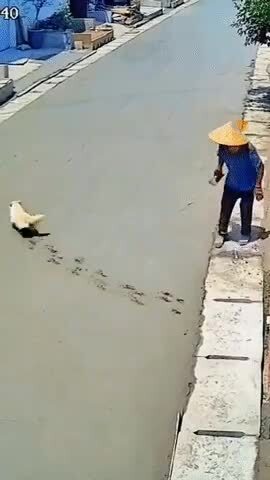 Убить упрямую тварь