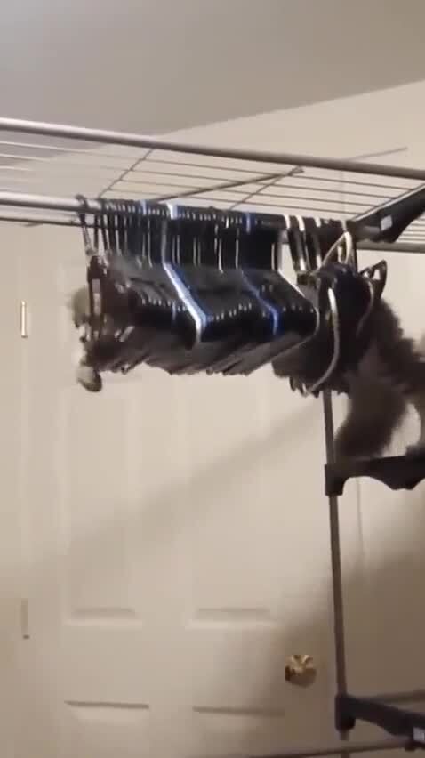 А МНЕ И ЗДЕСЬ УДОБНО