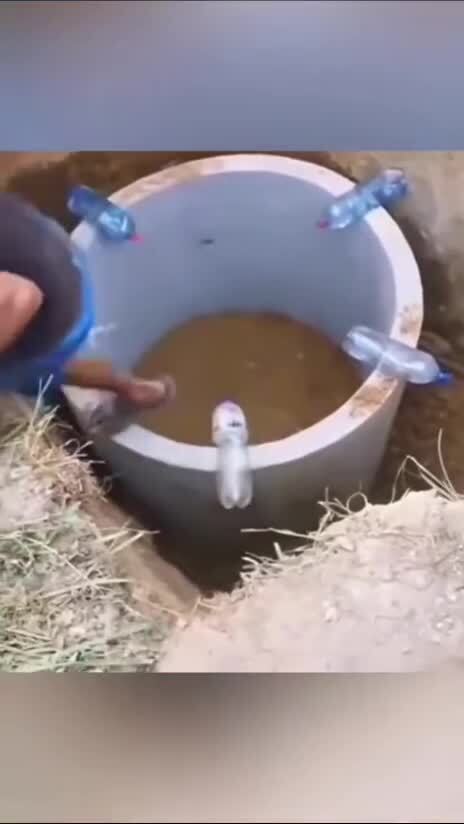 Осторожно, работают профессионалы