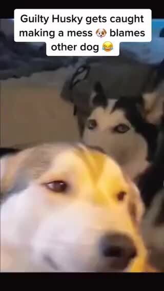 Ну и кто это сделал 