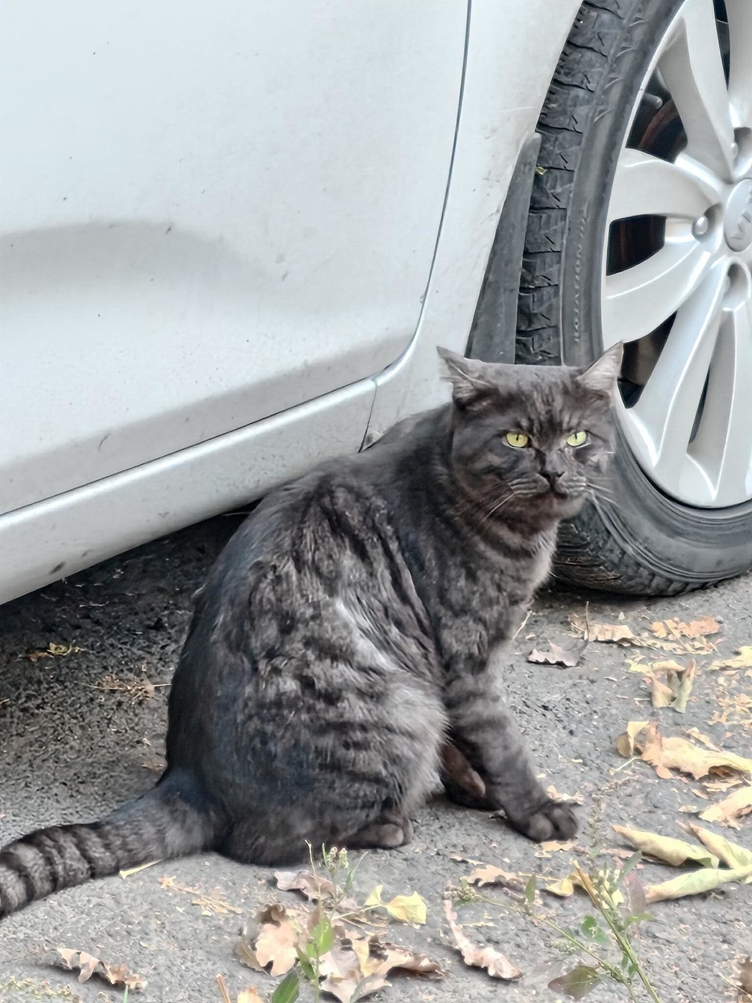 Сейчас около своей машины )