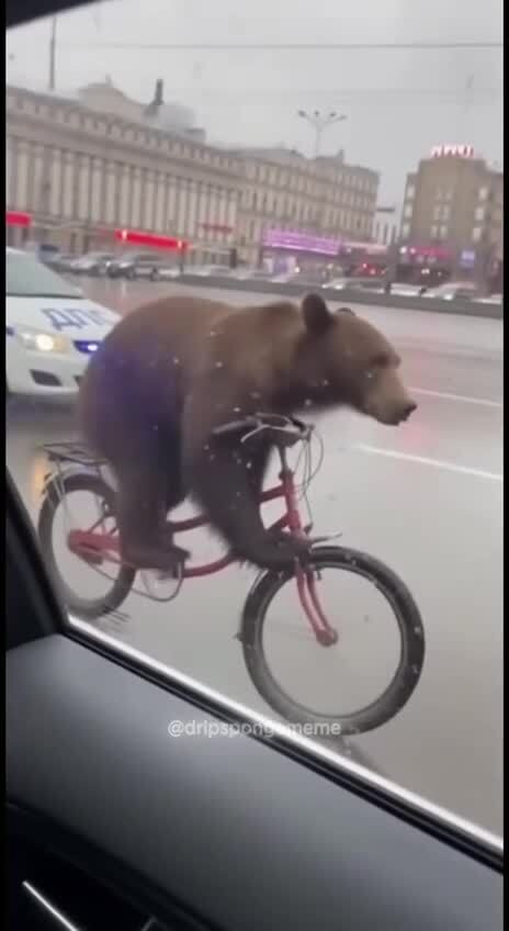 выхи,они такие