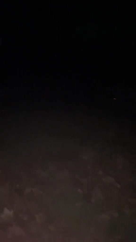 Кажется в прошлой жизни, пернатый был котом)