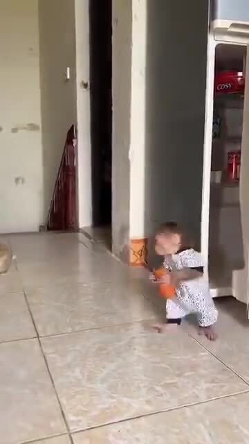 «Изучайте животных, и вы поймете, как это трудно быть человеком»