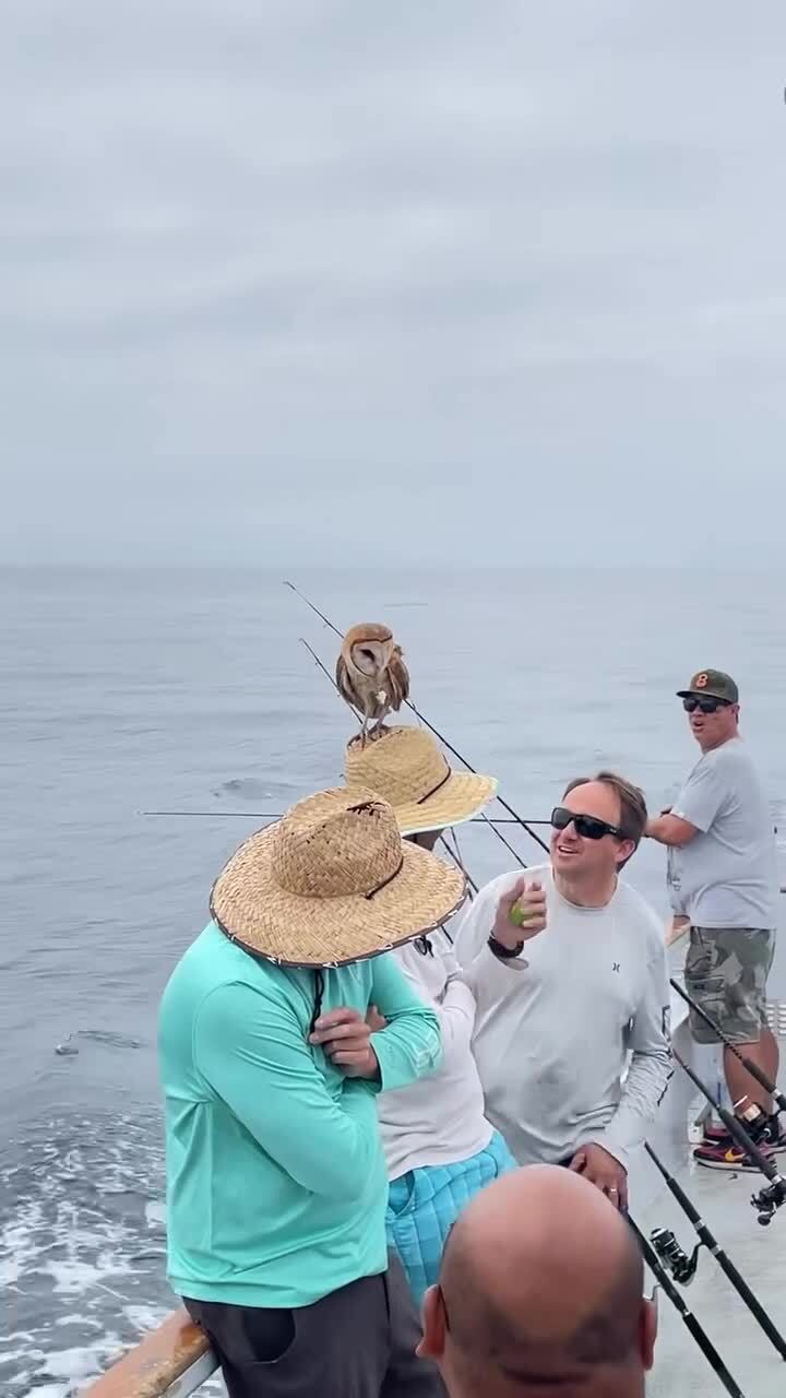 Неожиданно)