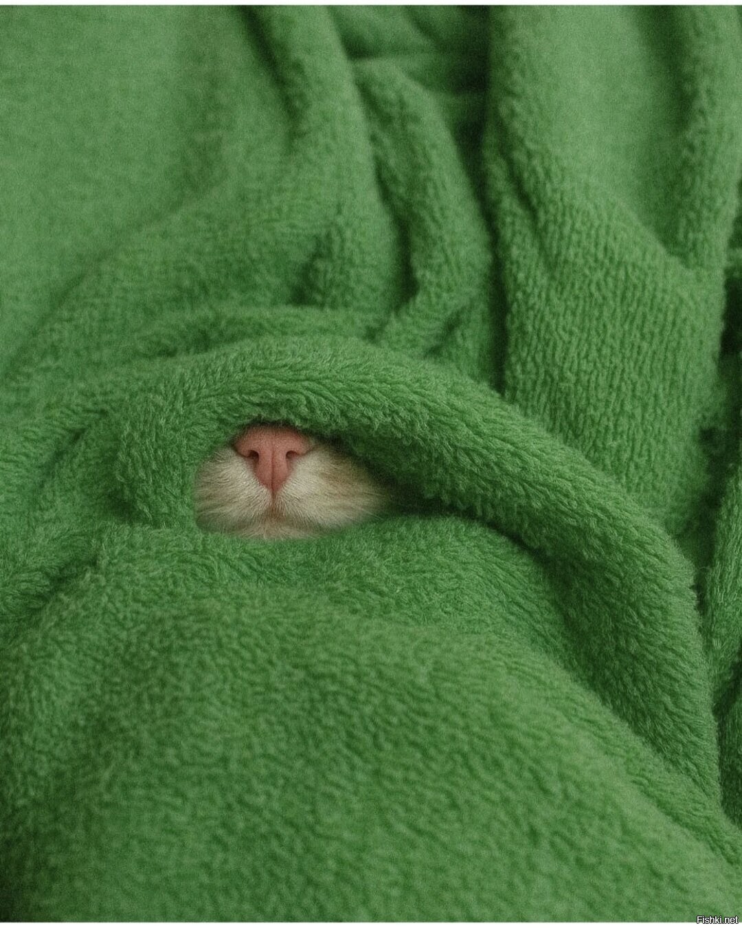 Доброе утро