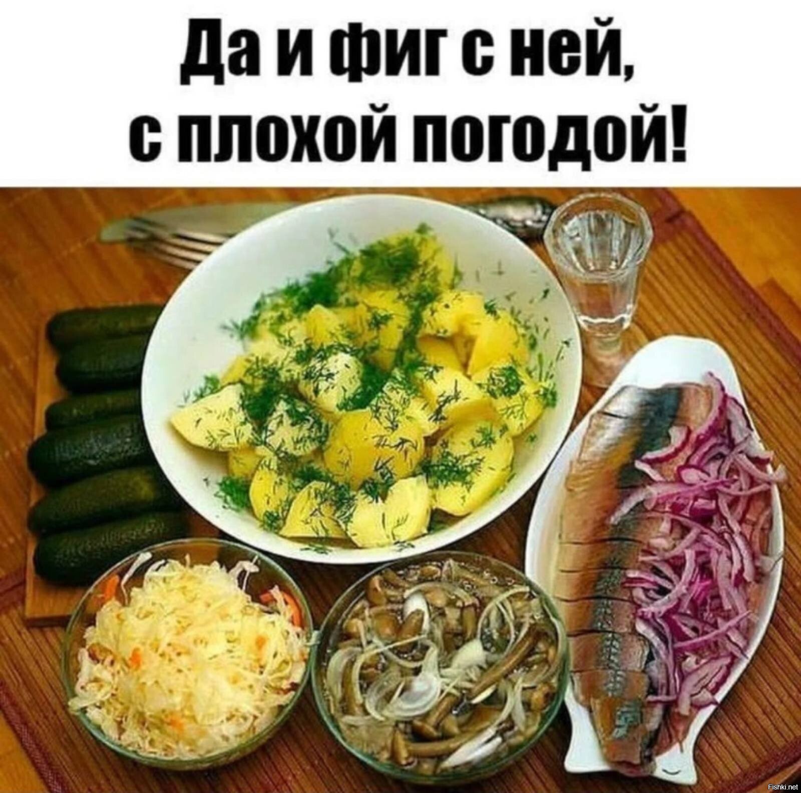 Солянка