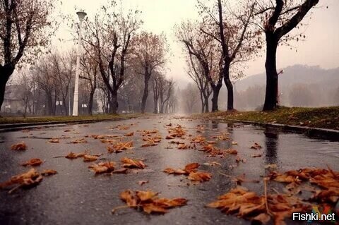 С добрым утром