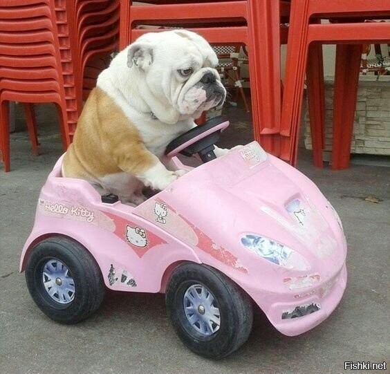 С праздником 