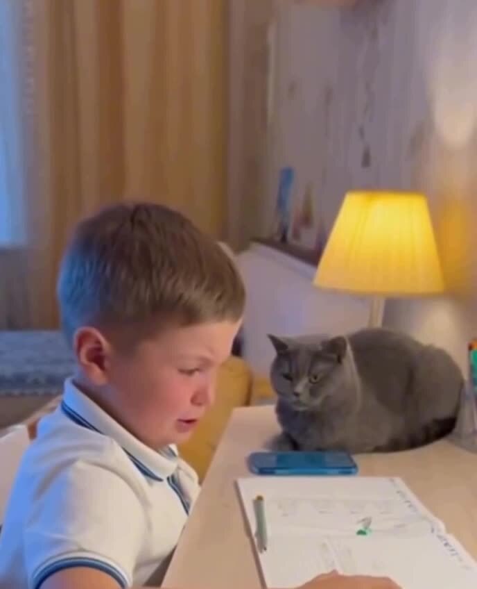 Соберись )))