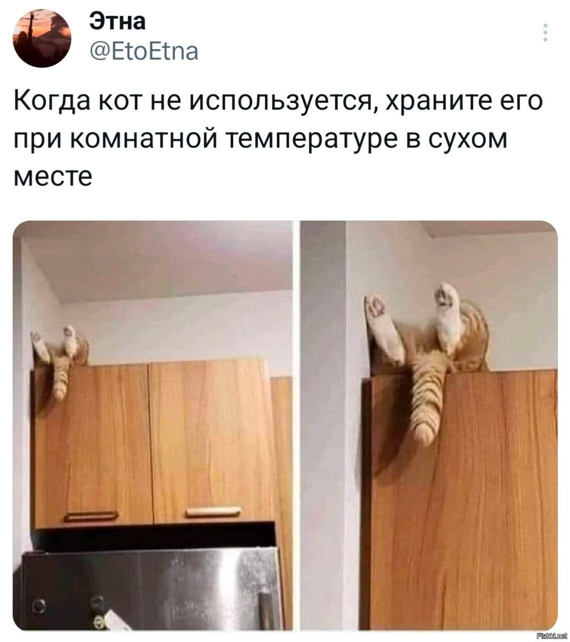 Солянка