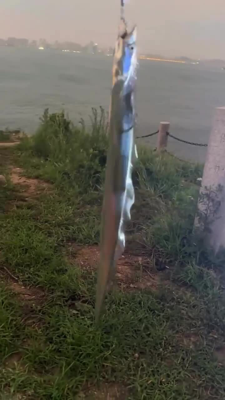 Рыба - сабля