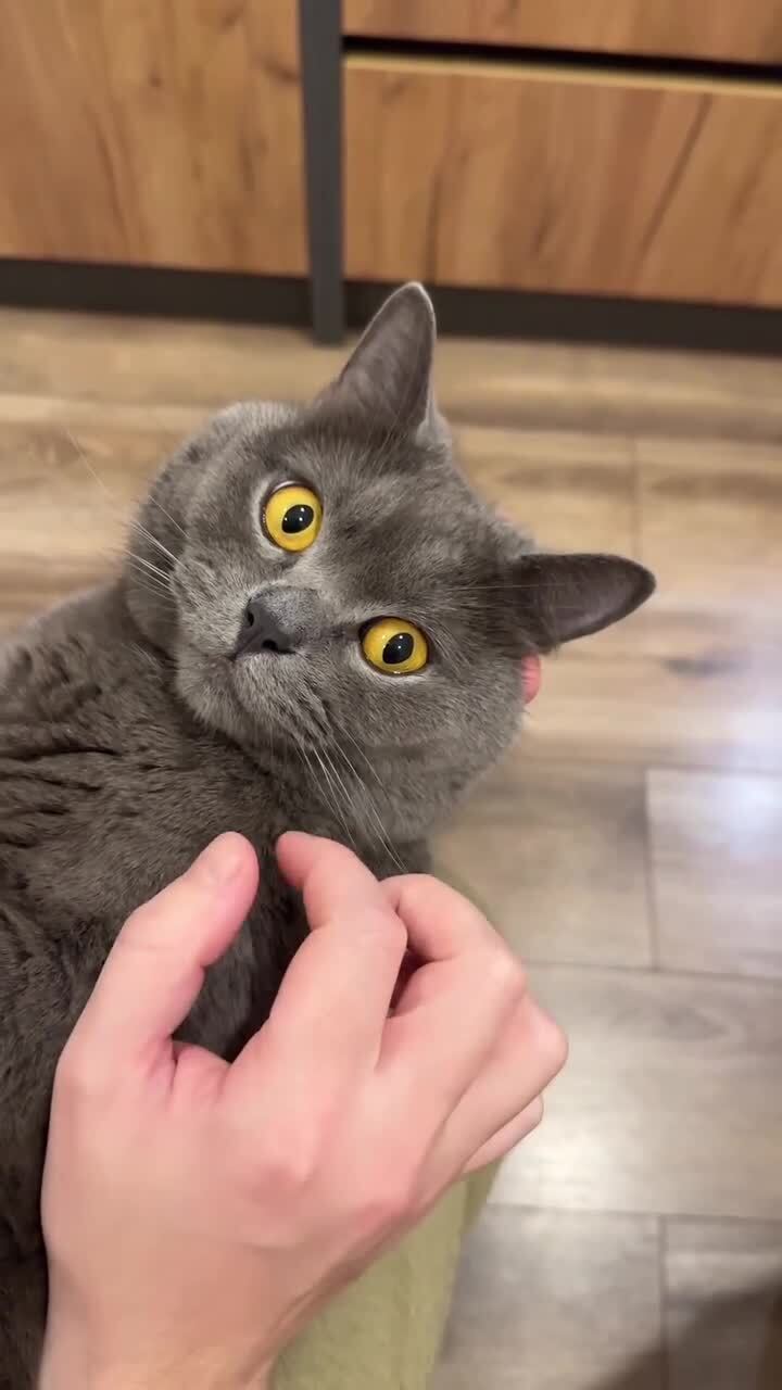 Хорошая мелодия