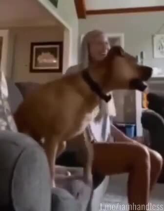 Какой азарт