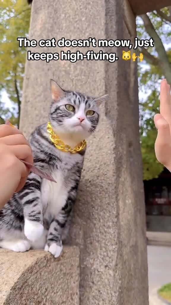 Японцы выстраиваются в очередь, чтобы получить «пять» от пушистика Джеллибин)