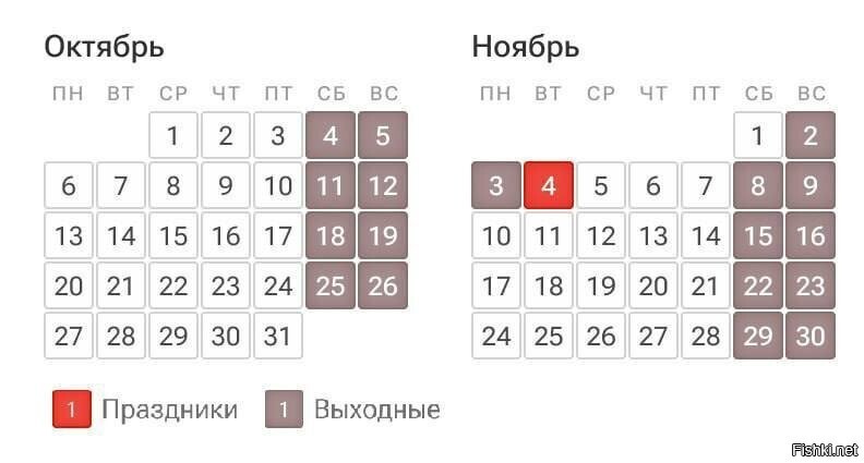 Завтра начинается самая длинная рабочая неделя — выходной с 1 ноября перенесл...