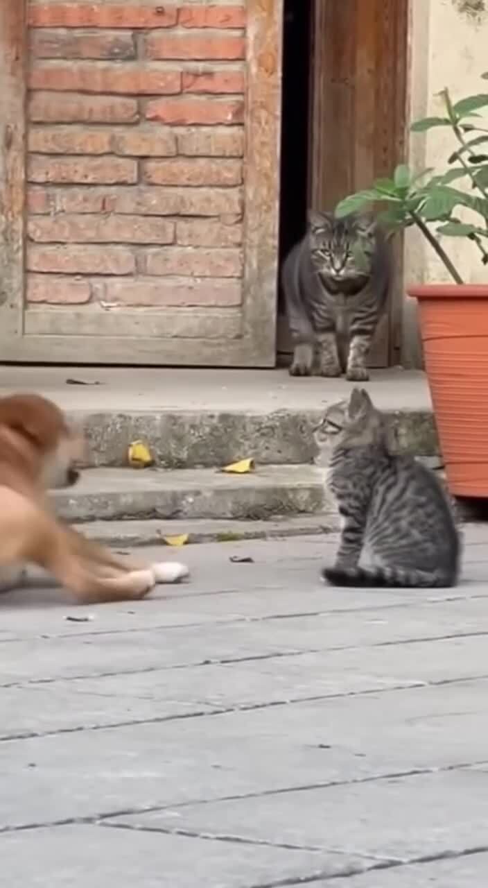 Взгляда хватило)