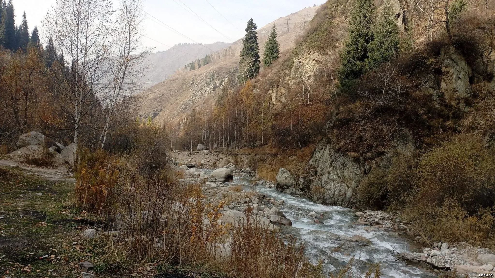 Спокойной ночи