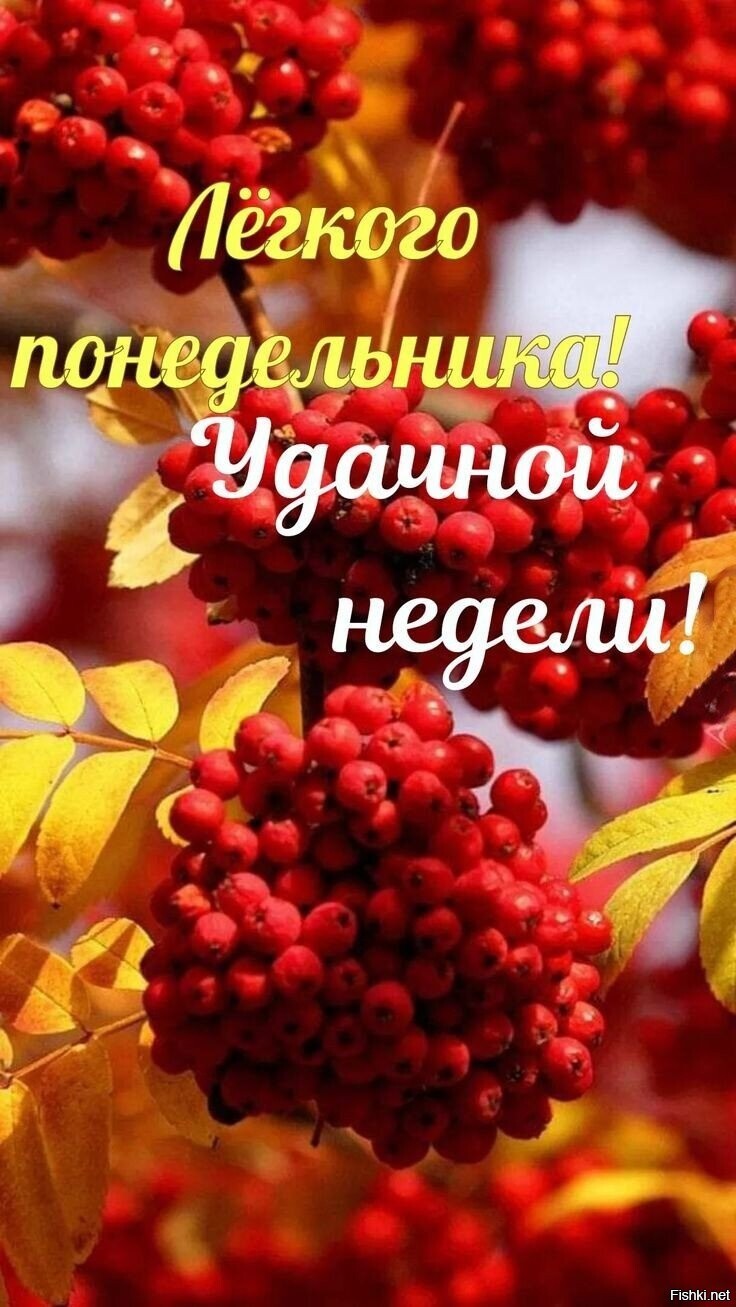 С добрым утром