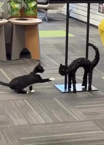 Исследование