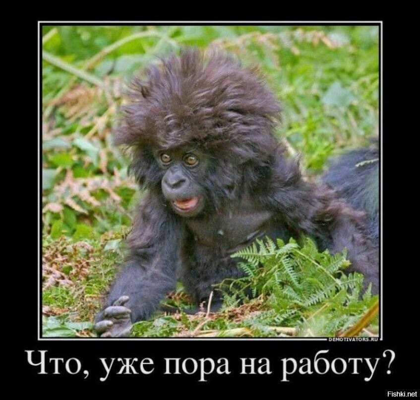 С понедельничком =)