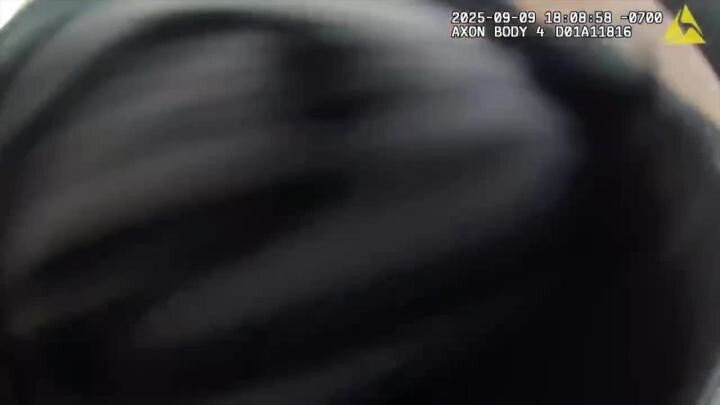 Любо-дорого смотреть на работу полиции