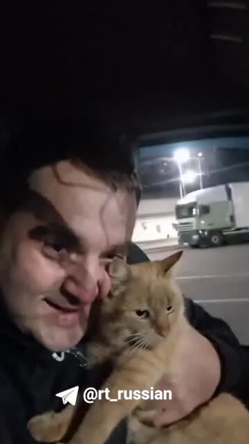 Российский дальнобойщик развёлся с женой из-за потерянного кота, пишут в сети