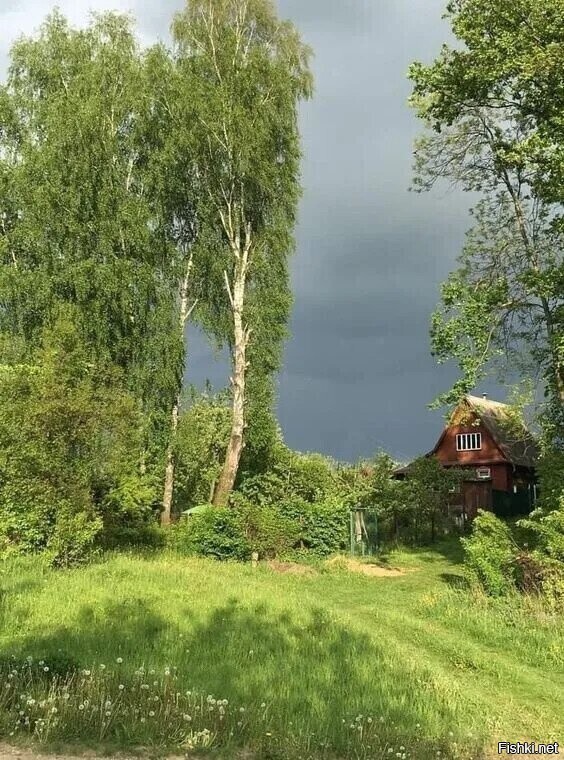 Солянка