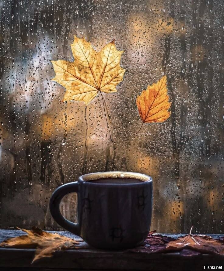 С добрым утром